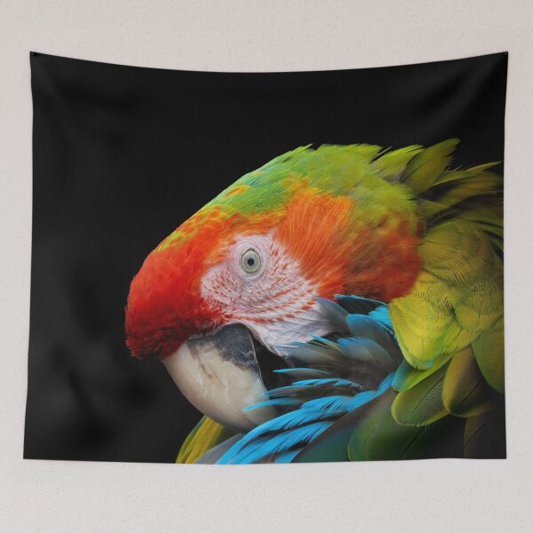 Item preview, A parrot preens its feathers with its beak designed and sold by gelibolu.