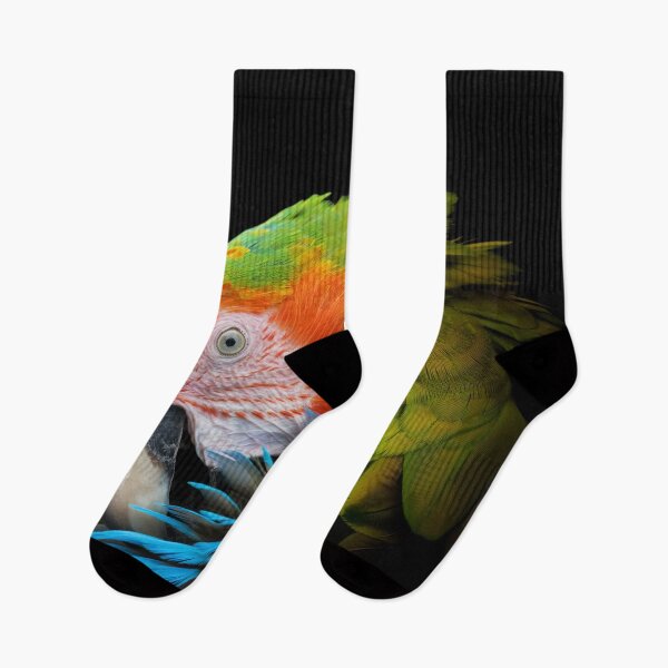 Item preview, A parrot preens its feathers with its beak designed and sold by gelibolu.