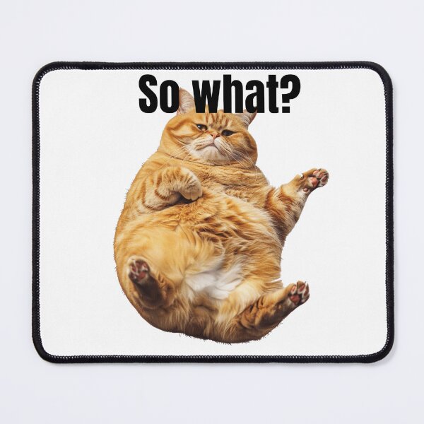 Item preview, So what funny fat cat sticker designed and sold by SmileshareShop.