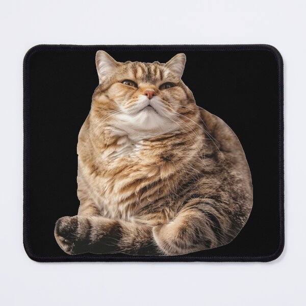 Item preview, Suspicious fat cat designed and sold by SmileshareShop.