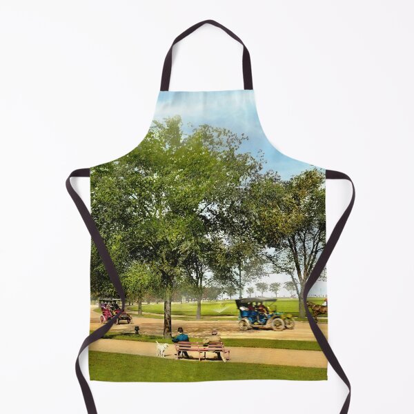 Item preview, City - Chicago, IL - The driveway at Jackson Park 1907 designed and sold by Mike Savad Photography.