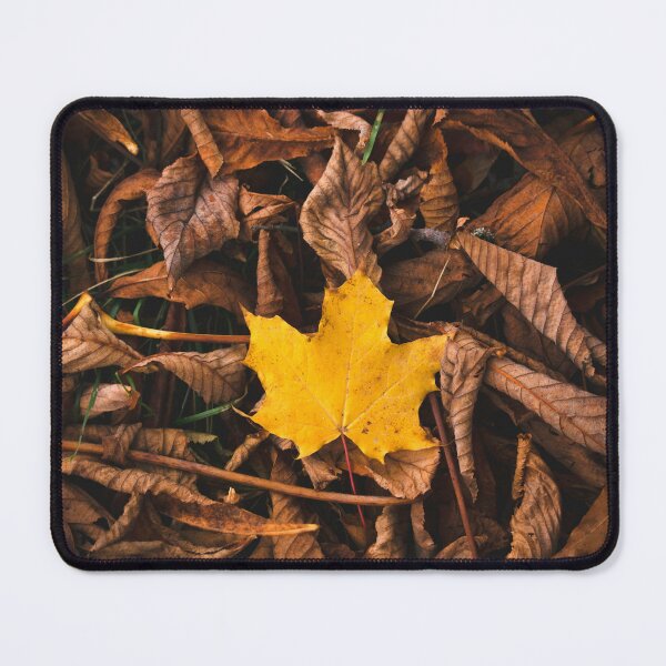 Item preview, Yellow leaf on top of a pile of leaves designed and sold by Monochrom4.