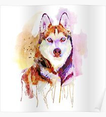 Husky Dog Watercolor Portrait Poster