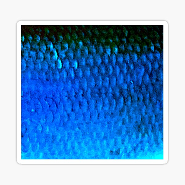 Vista previa del artículo con la obra «Escamas de cacho azul frío», diseñado y vendido por CJRPics.