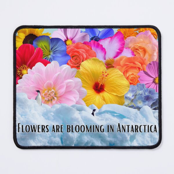 Item preview, Flowers are Blooming in Antarctica designed and sold by Planetary-Disco.