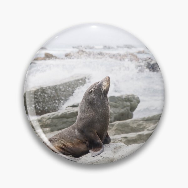 Item preview, New Zealand Fur Seal Basking On A Rock In Kaikoura designed and sold by marie-inks.