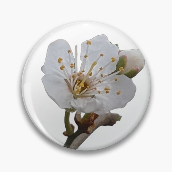 Item preview, Bloom - cherry blossom designed and sold by Double-Be-Creative.