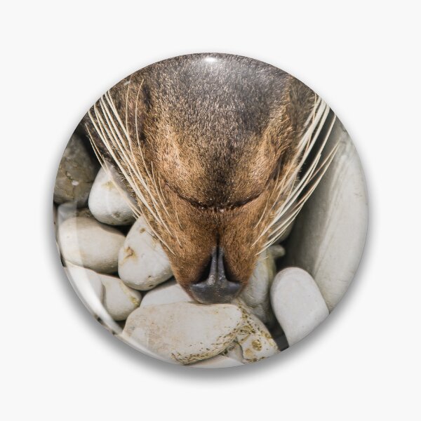 Item preview, Cute Snout of New Zealand Fur Seal Basking On A Rock In Kaikoura designed and sold by marie-inks.