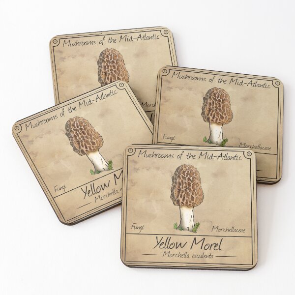 Item preview, Mushrooms of the Mid-Atlantic: Yellow Morel Mushroom  designed and sold by Cherie Brunetti.