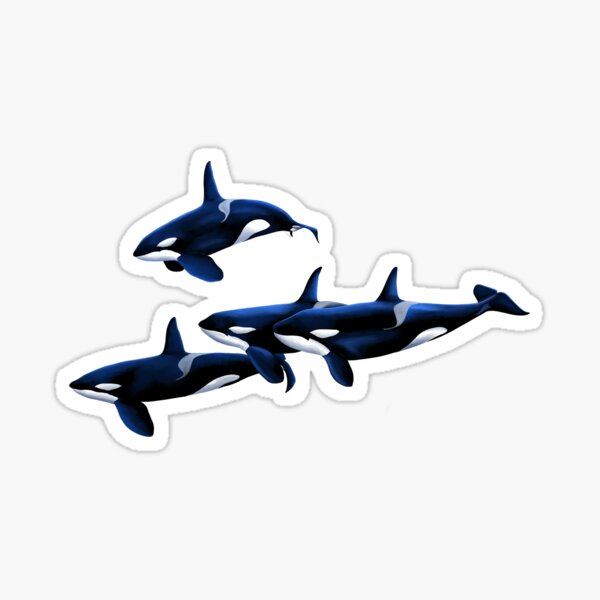 Item preview, Orca Pod designed and sold by SinaWilson.
