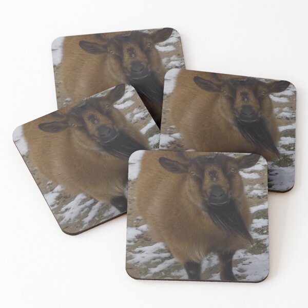 Item preview, Nigerian Dwarf Goat 'Toodles' designed and sold by Abby Art Studio.