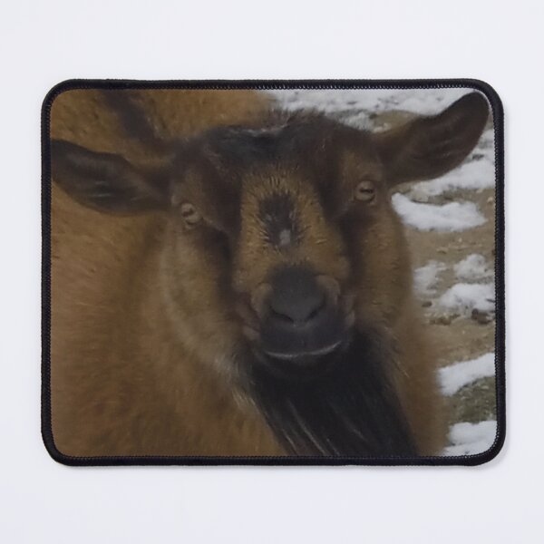Item preview, Nigerian Dwarf Goat 'Toodles' designed and sold by Abby Art Studio.