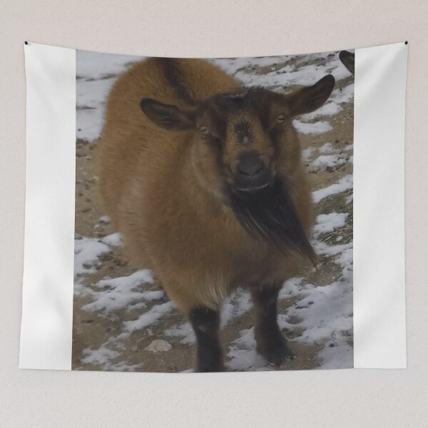 Item preview, Nigerian Dwarf Goat 'Toodles' designed and sold by Abby Art Studio.
