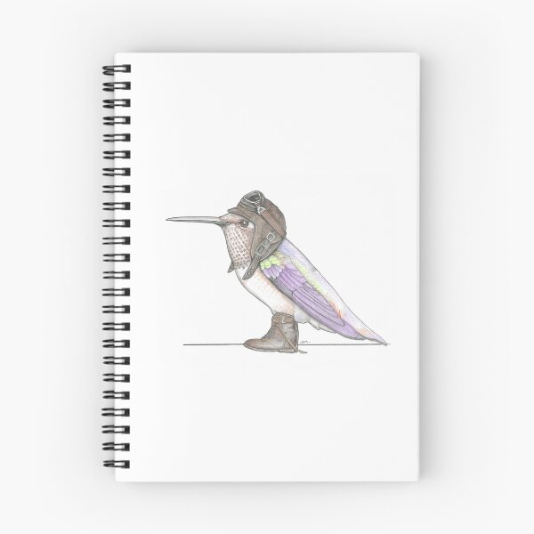 Aperçu de l'œuvre Rufus Colibri en bottes de vol vintage créée et vendue par JimsBirds.