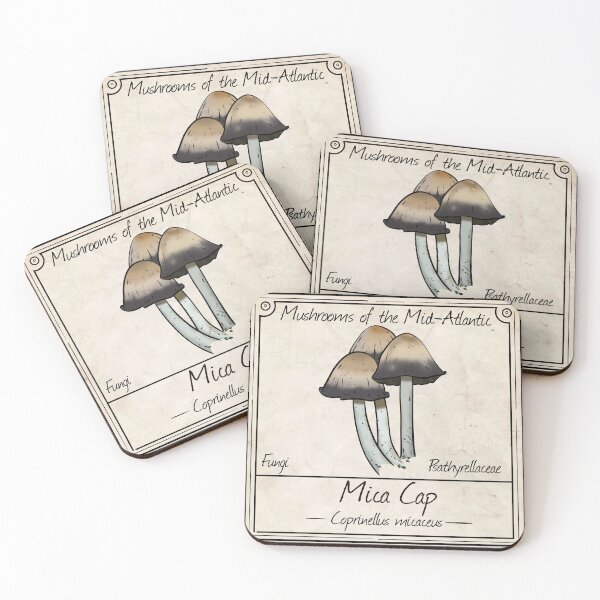 Item preview, Mushrooms of the Mid-Atlantic: Mica Cap Mushroom  designed and sold by Cherie Brunetti.