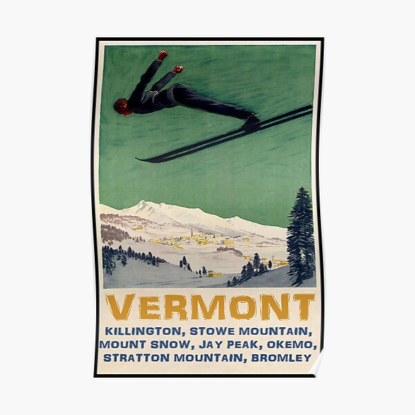 Ski Skiing Aspen Colorado Vintage Blonde Lady Sports Poster Repro FREE S//H