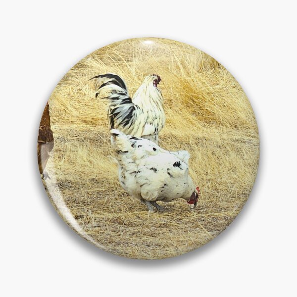 Item preview, Chooks designed and sold by carole hirst.
