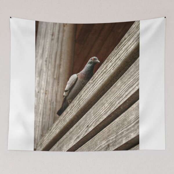 Item preview, Paranoid Pigeon designed and sold by SarahEL17.