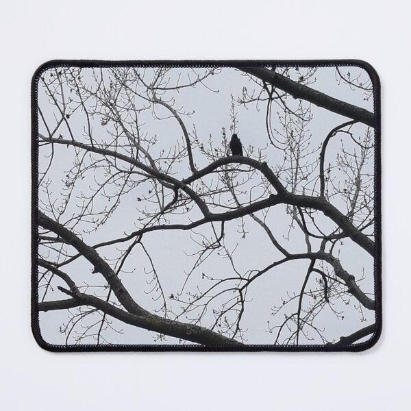 Item preview, Lone Bird in an Autumn Leafless Tree designed and sold by WhiteSoftPetals.
