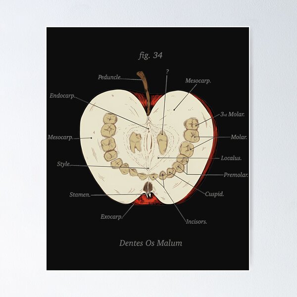 Item preview,  The Magnus Archives Anatomy Class Teeth Apple designed and sold by FrancisLauryss.
