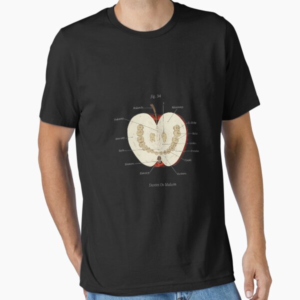 Vista previa del artículo con la obra « The Magnus Archives Clase de anatomía Dientes Manzana», diseñado y vendido por FrancisLauryss.