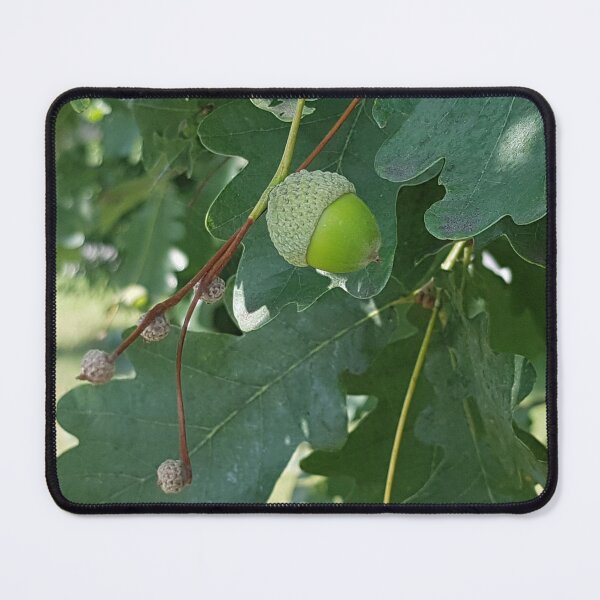 Item preview, Acorn on Green Foliage designed and sold by WhiteSoftPetals.