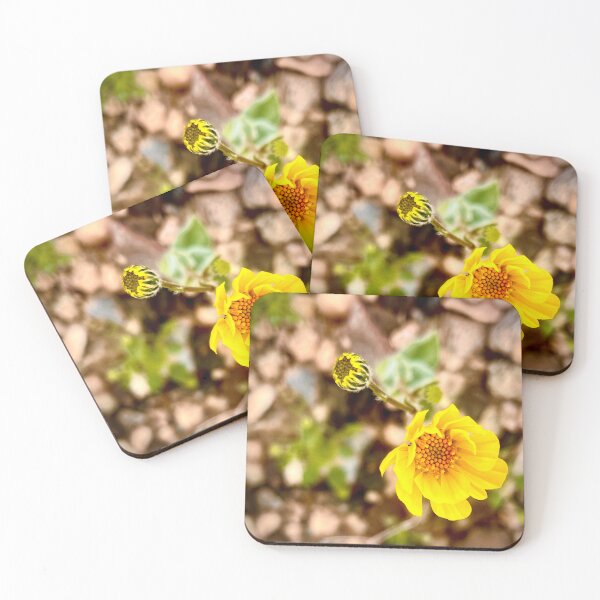 Item preview, Yellow Desert Flower designed and sold by MudmanExpress.