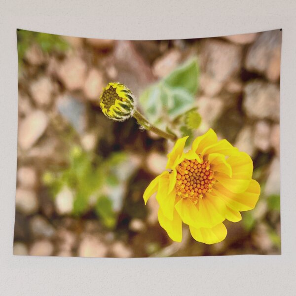 Item preview, Yellow Desert Flower designed and sold by MudmanExpress.