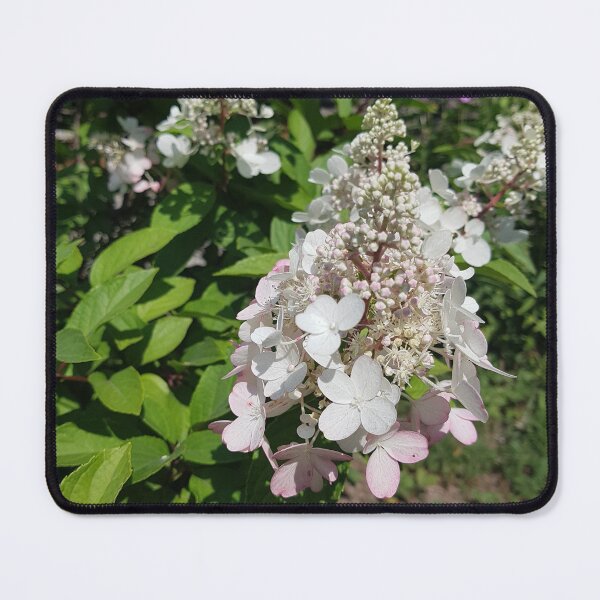 Item preview, Delicate White and Pink Petal Flowers designed and sold by WhiteSoftPetals.
