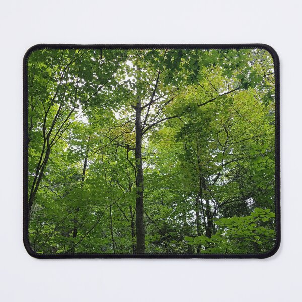 Item preview, Tall Green Trees in the Forest designed and sold by WhiteSoftPetals.