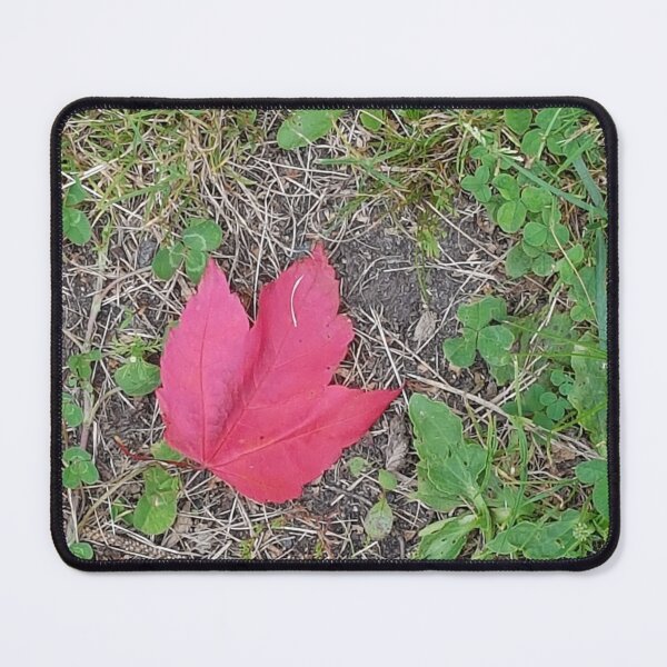 Item preview, Red Lone fallen Autumn Leaf designed and sold by WhiteSoftPetals.