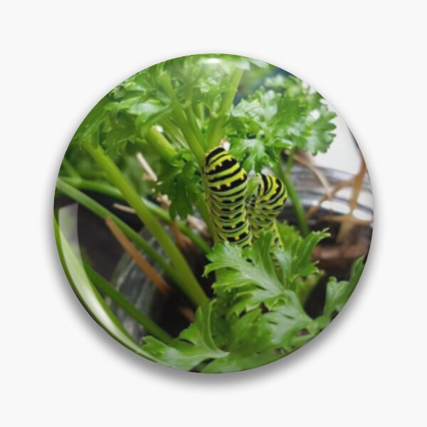 Item preview, Green, Black and Yellow Spotted Caterpillars designed and sold by WhiteSoftPetals.