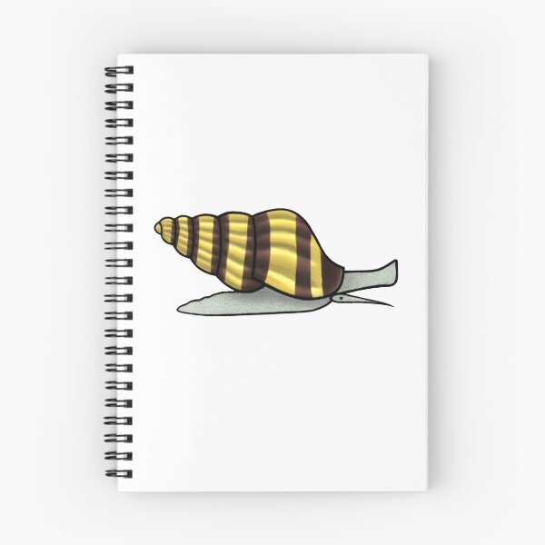 Item preview, Freshwater Assassin Snail designed and sold by Gastropoid.