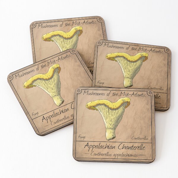 Item preview, Mushrooms of the Mid-Atlantic: Appalachian Chanterelle Mushroom  designed and sold by Cherie Brunetti.