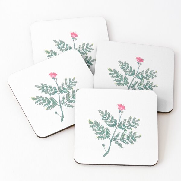 Item preview, Sensitive Plant (Mimosa Pudica) designed and sold by EllyArtStudio.