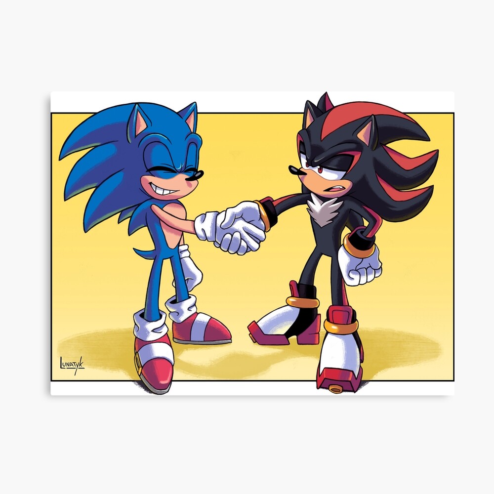 Sonic and Shadow