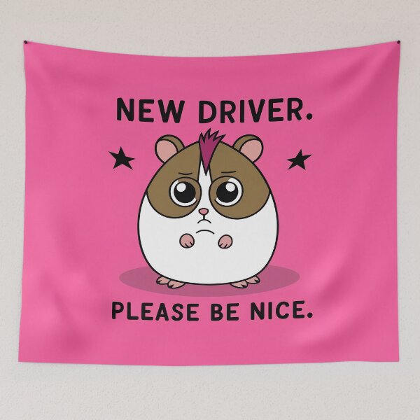 Item preview, New driver please be nice designed and sold by 90's Misaki.