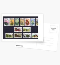 Falkland Islands Stamps Postcards