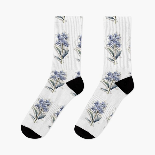 Item preview, Blue Star (Amsonia tabernaemontana) designed and sold by HOMETOWN86.