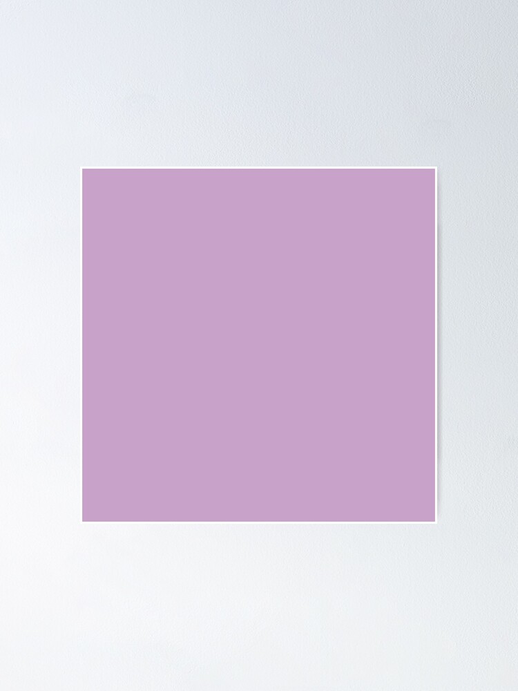 Lilac Purple / Solid