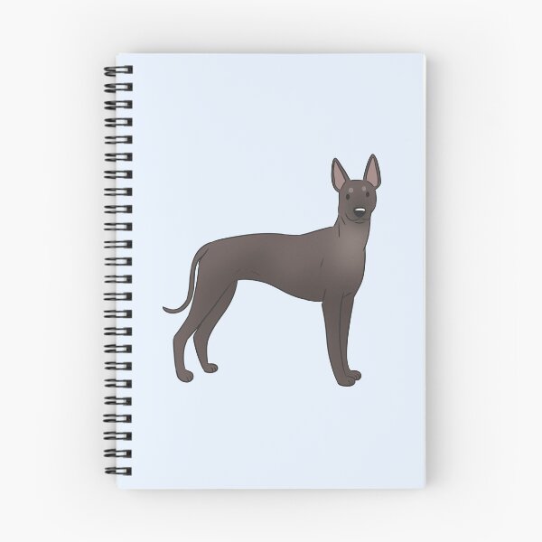 Item preview, Xoloitzcuintli mexican hairless dog  designed and sold by Yaragold.