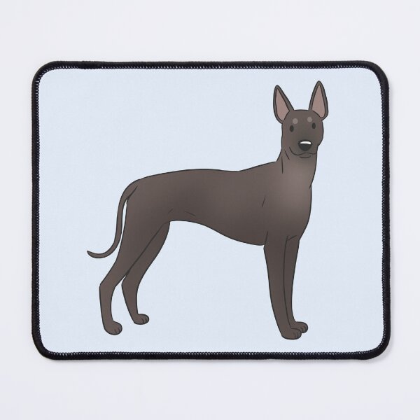Item preview, Xoloitzcuintli mexican hairless dog designed and sold by Yaragold.