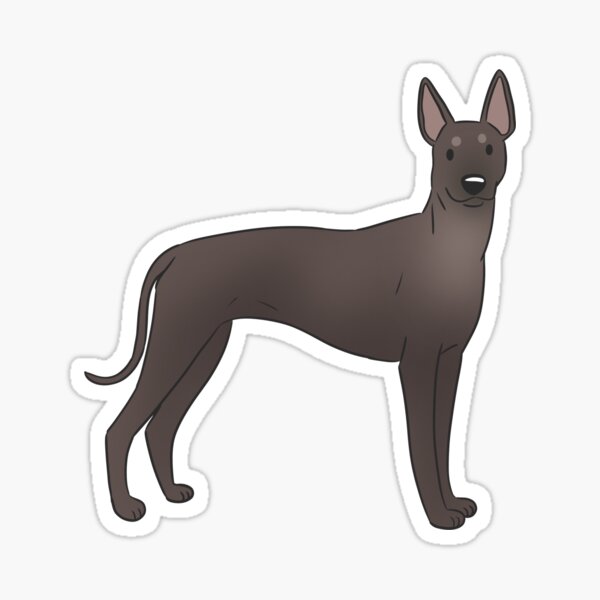 Vista previa del artículo con la obra «Xoloitzcuintli perro sin pelo mexicano», diseñado y vendido por Yaragold.