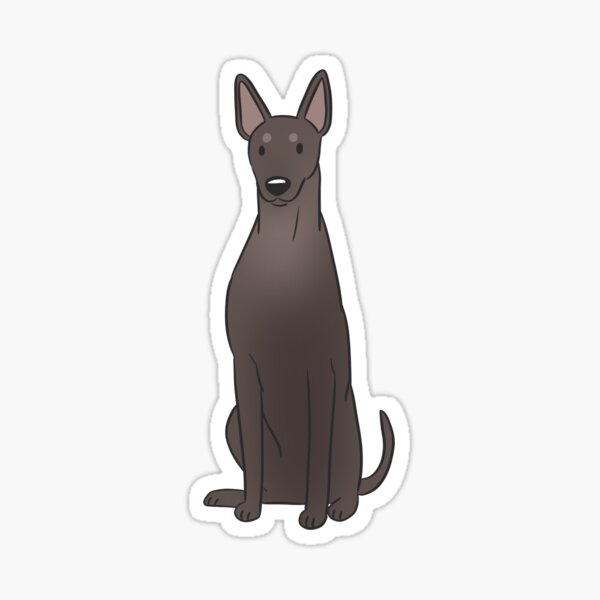 Vista previa del artículo con la obra «Xoloitzcuintli perro sin pelo mexicano», diseñado y vendido por Yaragold.