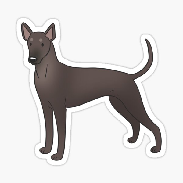 Vista previa del artículo con la obra «Lindo perro sin pelo mexicano xoloitzcuintli», diseñado y vendido por Yaragold.