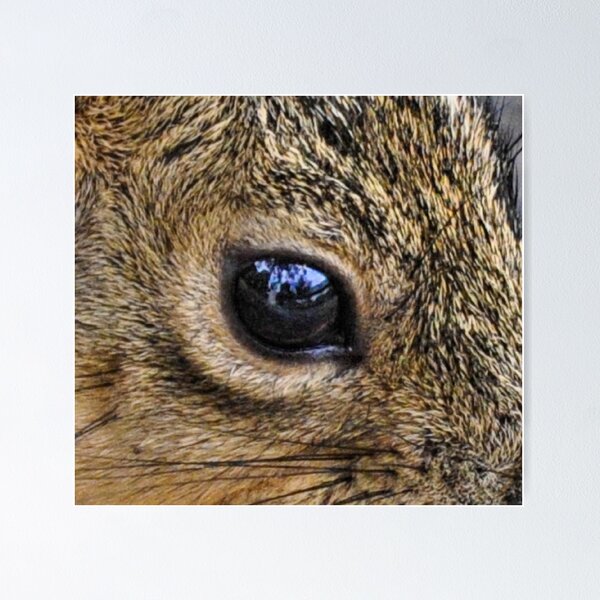 Item preview, The I in Eye designed and sold by Lenny La Rue, IPA.