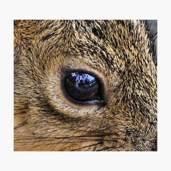 Item preview, The I in Eye designed and sold by Lenny La Rue, IPA.