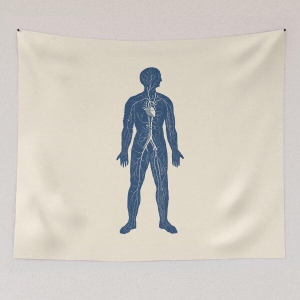 Item preview, Venous Circulatory System - Anatomy Diagram designed and sold by VAposters.