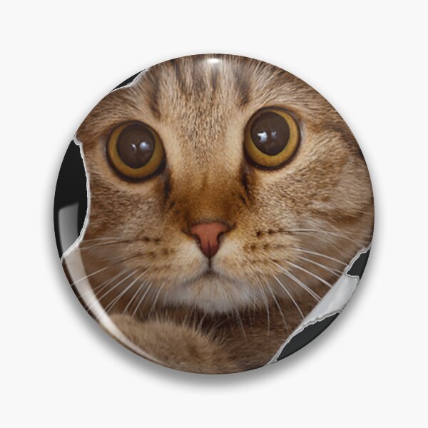 Item preview, Sweet Kitten Orn Cloth   Funny Cat Lover Cat Owner Cat Lady   designed and sold by usgZ5LJdhMs.