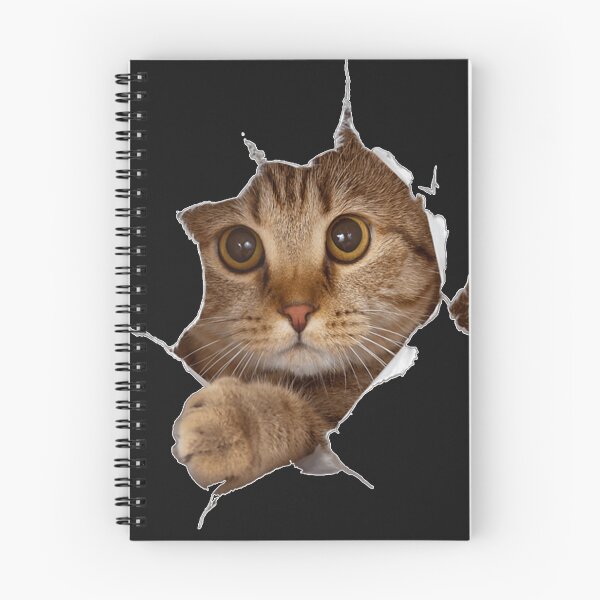 Item preview, Sweet Kitten Orn Cloth   Funny Cat Lover Cat Owner Cat Lady   designed and sold by usgZ5LJdhMs.